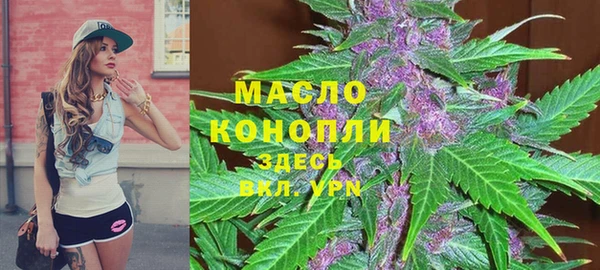 тгк Каменск-Шахтинский