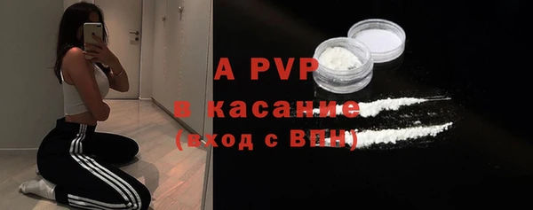 ешки Каменногорск