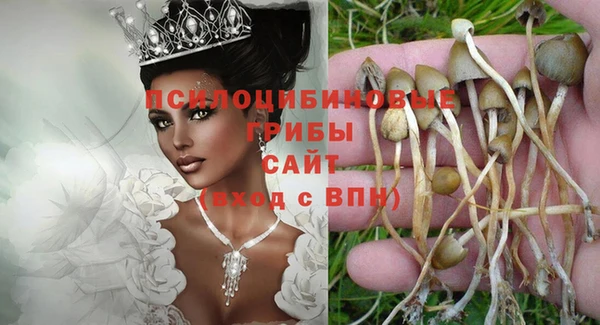ешки Каменногорск