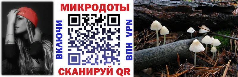 Псилоцибиновые грибы прущие грибы  Купить  Николаевск 