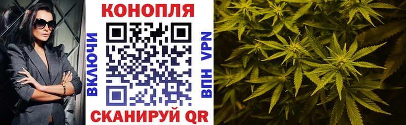 Бошки Шишки марихуана  Купить  Николаевск 